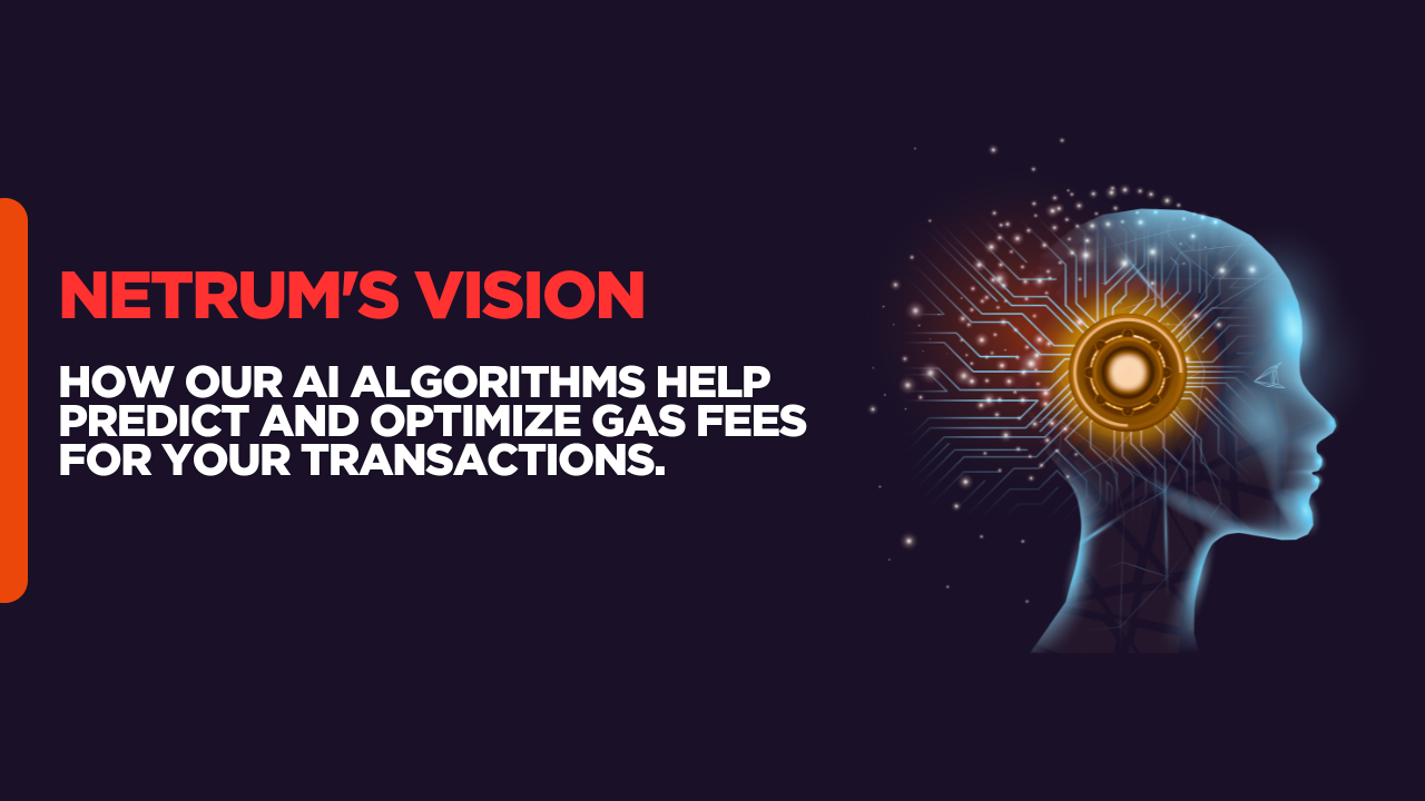 Netrum's Vision